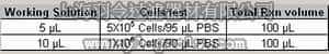 merck millipore,默克密理博,FCMAB103AP,Milli-Mark Anti-Ki67 Antibody, clone Ki-S5 APC conjugate