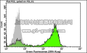 merck millipore,默克密理博,FCMAB104A4,Anti-phospho H3 (Ser10) Antibody, clone 3H10 Alexa Fluor 488