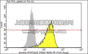merck millipore,默克密理博,FCMAB105P,Anti-phospho-STAT5A/B (Tyr694/699) Antibody, clone 8-5-2 PE conjugate