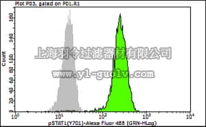 merck millipore,默克密理博,FCMAB106A4,Anti-Phospho-Stat1 (Tyr701) Antibody, clone 5C9.2 Alexa Fluor 488