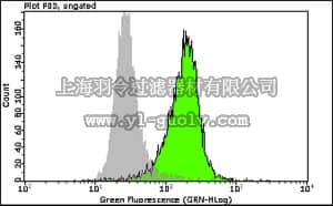 merck millipore,默克密理博,FCMAB108A4,Anti-phospho-SMC1 (Ser957) Antibody, clone 5D11G5 Alexa Fluor 488