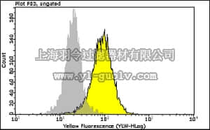 merck millipore,默克密理博,FCMAB110P,Anti-phospho-ATM (Ser1981) Antibody, clone 10H11.E12 PE conjugate