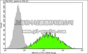 merck millipore,默克密理博,FCMAB111F,Milli-Mark™ Anti-HESCA-1-FITC Antibody, clone 051007-4A5