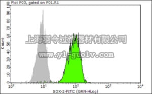 merck millipore,默克密理博,FCMAB112F,Anti-SOX-2 Antibody, clone 6G1.2, FITC conjugate