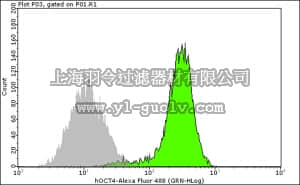 merck millipore,默克密理博,FCMAB113A4,Anti-Oct-4 Antibody, clone 10H11.2, Alexa Fluor 488 conjugate