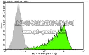 merck millipore,默克密理博,FCMAB115F,Anti-TRA-1-60 Antibody, clone TRA-1-60, FITC conjugate