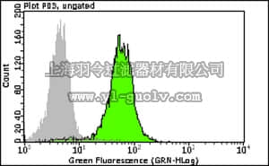 merck millipore,默克密理博,FCMAB124A4,Milli-Mark™ Anti-mOCT4 Antibody, clone 7F9.2, Alexa Fluor 488 Conjugate