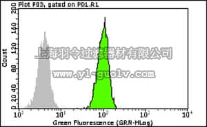 merck millipore,默克密理博,FCMAB135F,Milli-Mark Anti-BMP-7-FITC Antibody, clone 2A10