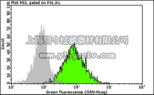 merck millipore,默克密理博,FCMAB141A4,Milli-Mark™ Anti-SSEA3 Alexa 488 Antibody, clone MC-631