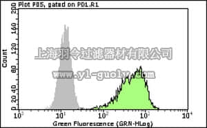 merck millipore,默克密理博,FCMAB148F,Anti-Ras -FITC Antibody, clone RAS10