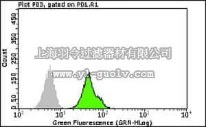 merck millipore,默克密理博,FCMAB152F,Milli-Mark Anti-FXR1 -FITC Antibody, clone 6BG10