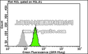 merck millipore,默克密理博,FCMAB155F,Milli-Mark Anti-Syntaxin-3 FITC Antibody, clone 1-146
