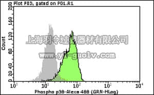 merck millipore,默克密理博,FCMAB246A4,Milli-Mark™ Anti-phospho-p38 MAPK (Thr180/Tyr182) Antibody, Alexa Fluor 488, clone 28B10