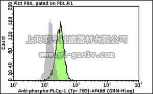 merck millipore,默克密理博,FCMAB249A4,Milli-Mark™ Anti-phospho-PLCγ-1 (Tyr783)-Alexa Fluor 488 Antibody, clone 12F4.2