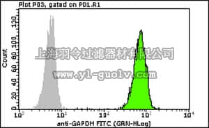 merck millipore,默克密理博,FCMAB252F,Milli-Mark™ Anti-GAPDH-FITC Antibody, clone 6C5