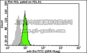 merck millipore,默克密理博,FCMAB253F,Milli-Mark™Anti-Src-FITC Antibody, clone GD11
