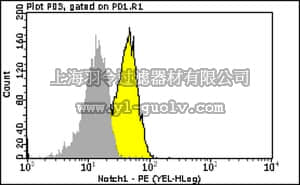 merck millipore,默克密理博,FCMAB260PE,Milli-Mark™ Anti-Notch 1-PE Antibody, clone mN1A