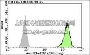 merck millipore,默克密理博,FCMAB266F,Milli-Mark™ Anti-EF1α-FITC Antibody, clone CBP-KK1