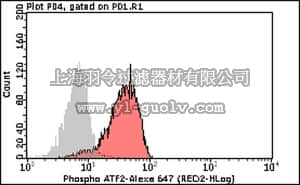 merck millipore,默克密理博,FCMAB271A6,Milli-Mark™ Anti-phospho-ATF2 (Thr69/71) Antibody, Alexa Fluor 647, clone AW65