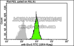 merck millipore,默克密理博,FCMAB290F,Milli-Mark™ Anti-GluR2-FITC Antibody, clone 6C4