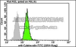 merck millipore,默克密理博,FCMAB291F,Milli-Mark™Anti-Cytokeratin 5 Antibody, 6-FITC, clone D5/16B4