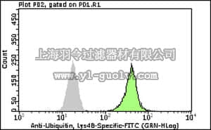 merck millipore,默克密理博,FCMAB294F,Milli-Mark™ Anti-Ubiquitin Antibody, Lys48-Specific-FITC, clone Apu2
