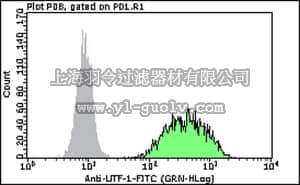 merck millipore,默克密理博,FCMAB295F,Milli-Mark™ Anti-UTF-1-FITC Antibody, clone 5G10.2