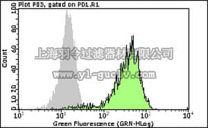 merck millipore,默克密理博,FCMAB302F,Milli-Mark™ Anti-Brachyury-FITC Antibody, clone 3E4.2