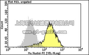 merck millipore,默克密理博,FCMAB306P,Milli-Mark Anti-Human-Nuclei-PE Antibody, clone 235-1