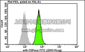 merck millipore,默克密理博,FCMAB314F,Milli-Mark Anti-CNPase-FITC Antibody, clone 11-5B