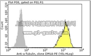 merck millipore,默克密理博,FCMAB322PE,Milli-Mark™ Anti-alpha-Tubulin-PE Antibody, clone DM1A