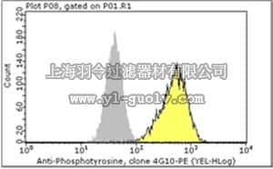 merck millipore,默克密理博,FCMAB323PE,Milli-Mark™ Anti-Phosphotyrosine-PE Antibody, recombinant clone 4G10