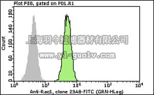merck millipore,默克密理博,FCMAB330F,Milli-Mark™ Anti-Rac1-FITC Antibody, clone 23A8