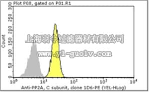 merck millipore,默克密理博,FCMAB336PE,Milli-Mark™ Anti-PP2A-PE Antibody, C subunit, clone 1D6