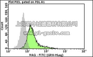 merck millipore,默克密理博,FCMAB337F,Milli-Mark™ Anti-Myelin Associated Glycoprotein-FITC Antibody, clone 513