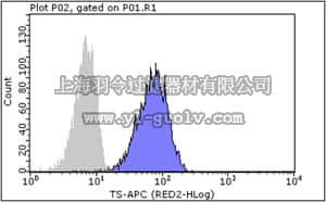 merck millipore,默克密理博,FCMAB382APC,Milli-Mark Anti-Thymidylate Synthase-APC Antibody, clone TS106