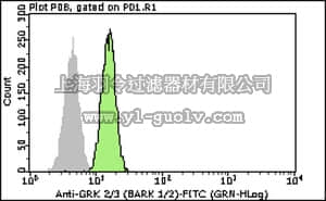 merck millipore,默克密理博,FCMAB385F,Milli-Mark™ Anti-GRK 2/3 (βARK 1/2)-FITC Antibody, clone C5/1.1