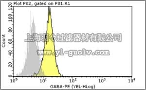merck millipore,默克密理博,FCMAB408PE,Milli-Mark Anti-GABA A Receptor β2/3-PE Antibody, clone 62-3G1
