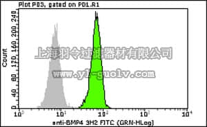 merck millipore,默克密理博,FCMAB411F,Milli-Mark™ Anti-Bone Morphogenetic Protein 4-FITC Antibody, clone 3H2