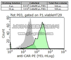 merck millipore,默克密理博,FCMAB418PE-I,Milli-Mark™ Anti-CAR-PE Antibody, clone RmcB