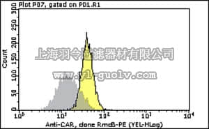 merck millipore,默克密理博,FCMAB418PE,Milli-Mark™ Anti-CAR-PE Antibody, clone RmcB