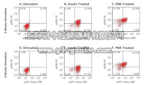 merck millipore,默克密理博,FCCS025100,FlowCellect™ PI3K/MAPK Dual Pathway Activation and Cancer Marker Detection kit