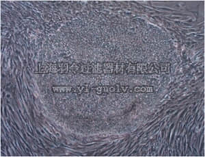 merck millipore,默克密理博,GF156,B18R, Human Recombinant Carrier-Free