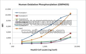 merck millipore,默克密理博,H0XPSMAG-16K,MILLIPLEX MAP Human Oxidative Phosphorylation (OXPHOS) Magnetic Bead Panel - Cellular Metabolism Multiplex Assay