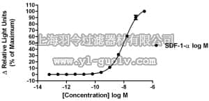 merck millipore,默克密理博,HTS004LT,ChemiBrite™ CXCR4 Chemokine Family Receptor Frozen Cells