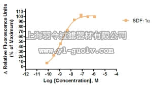 merck millipore,默克密理博,HTS004RTA,Ready-to-Assay™ CXCR4 Chemokine Receptor Frozen Cells