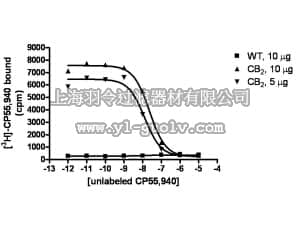 merck millipore,默克密理博,HTS020M,ChemiSCREEN™ Membrane Preparation Recombinant Human CB2 Cannabinoid Receptor