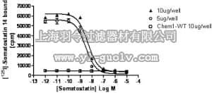merck millipore,默克密理博,HTS028M,ChemiSCREEN™ Membrane Preparation Recombinant Human sst2 Somatostatin Receptor