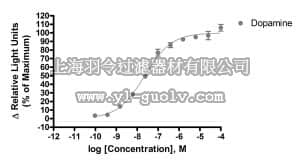 merck millipore,默克密理博,HTS039LT,ChemiBrite™ D2L Dopamine Family Receptor Frozen Cells