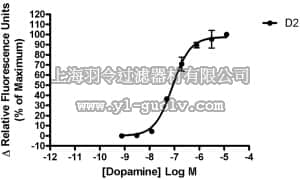 merck millipore,默克密理博,HTS039RTA,Ready-to-Assay™ D2L Dopamine Receptor Frozen Cells
